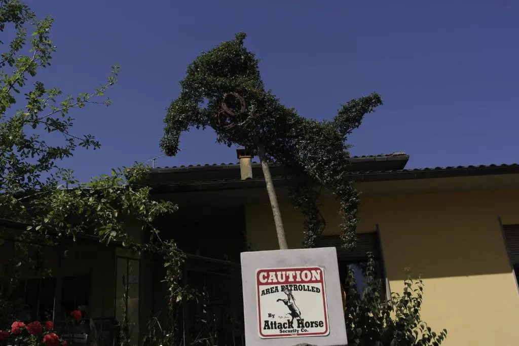 Agridomus il Mulino