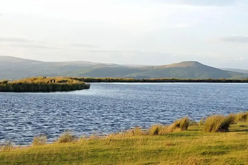 The Byre