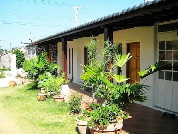 Lemon Tree B & B