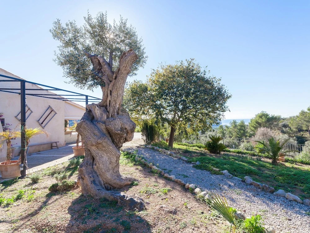 Finca Lluisa