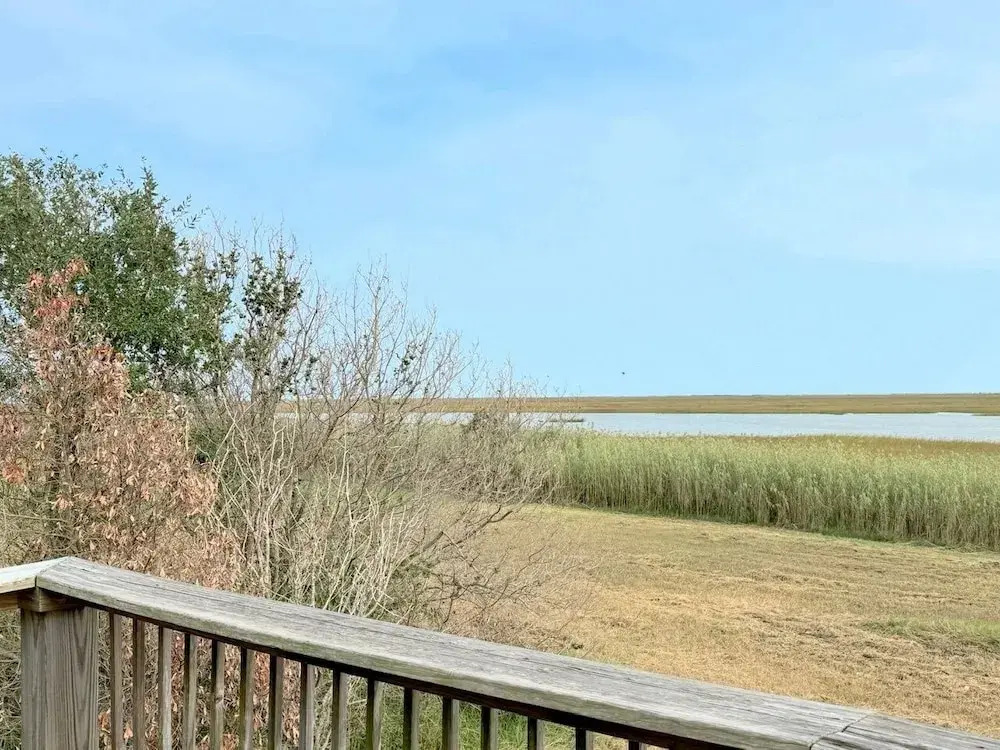 Warblers Roost Home