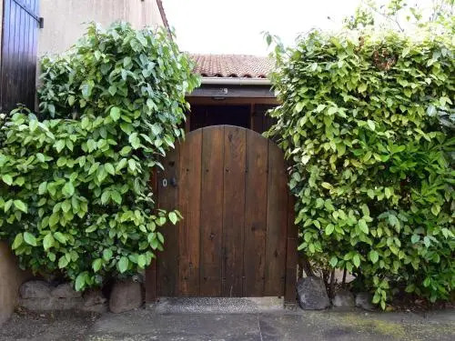 Appartement Gruissan, 4 pièces, 6 personnes - FR-1-229-80