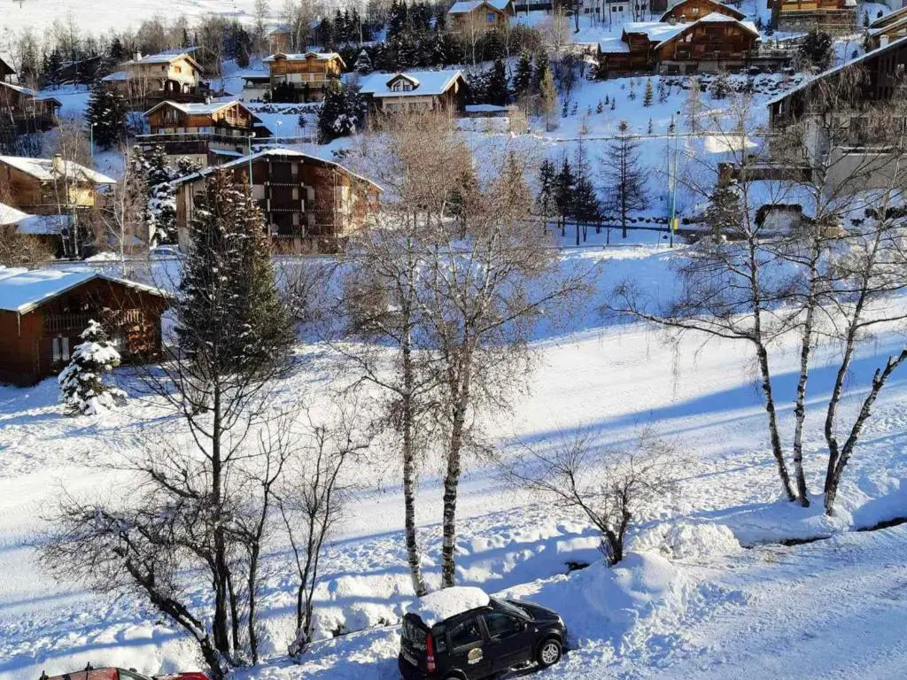 Appartement Les Deux Alpes, 3 pièces, 6 personnes - FR-1-516-11