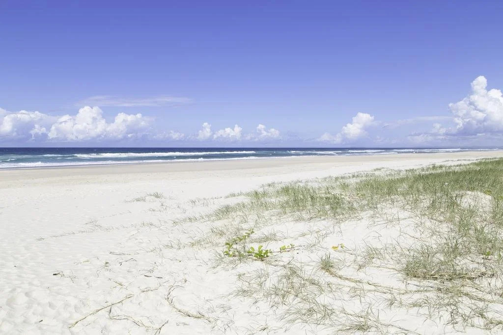 Fairlight - Tweed Coast Holidays ®
