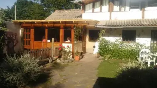 La Casa del Arbol