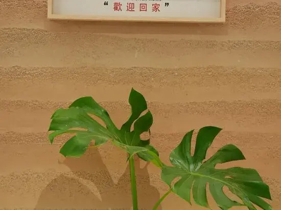 Wencheng Slow She·Maili Homestay