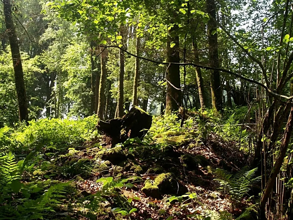 La Féculerie