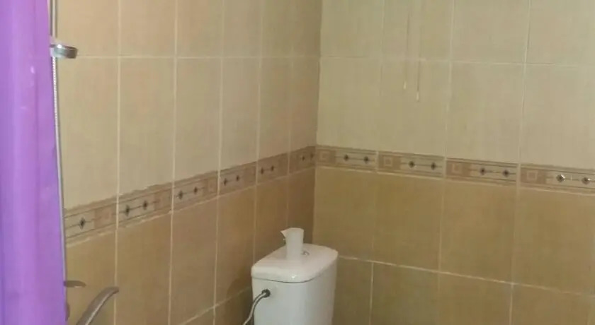 Hostel Puteshestvennik