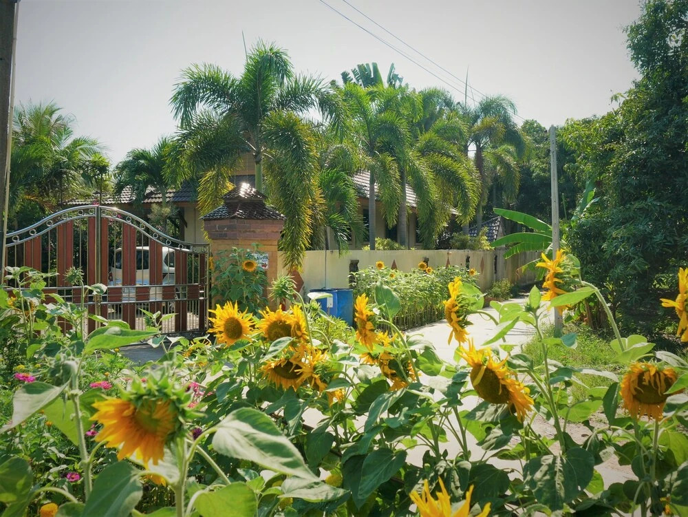 Finca Marina