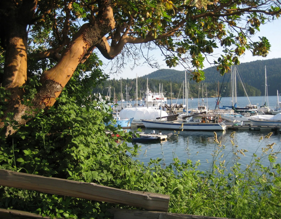 Brentwood Bay Resort