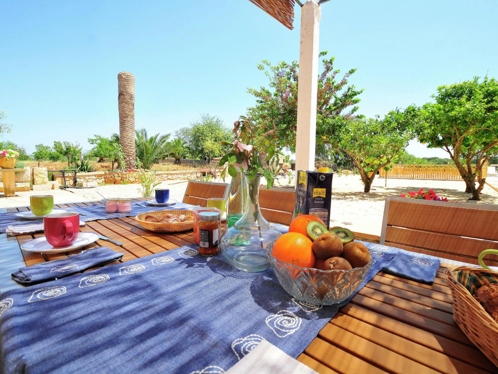 Large rustic country house for 12 people with garden and pool