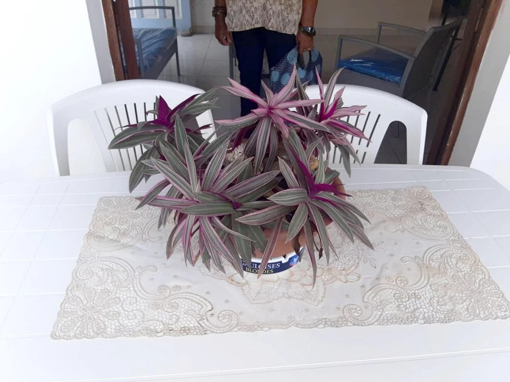 Apartment With 2 Bedrooms in Sainte marie, With Furnished Terrace and Wifi Near the Beach