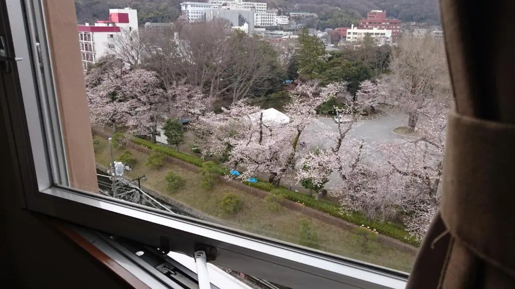 Hotel Wakasa