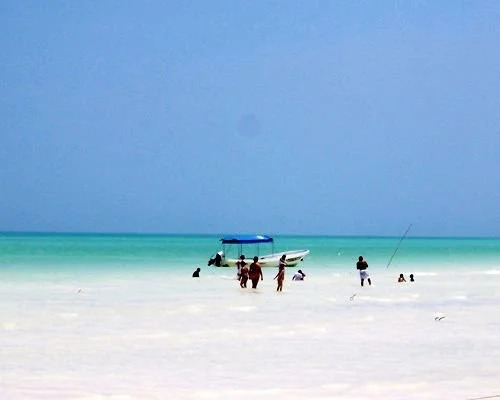 Palapas Las Gonzas