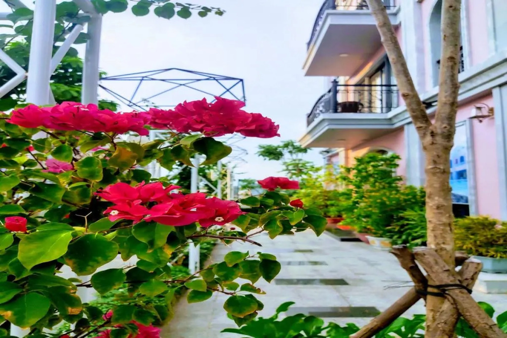Sao Mai Hotel