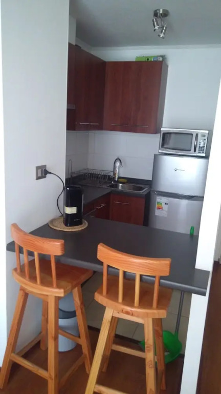 Apart Hotel Plaza Suite Los Carrera