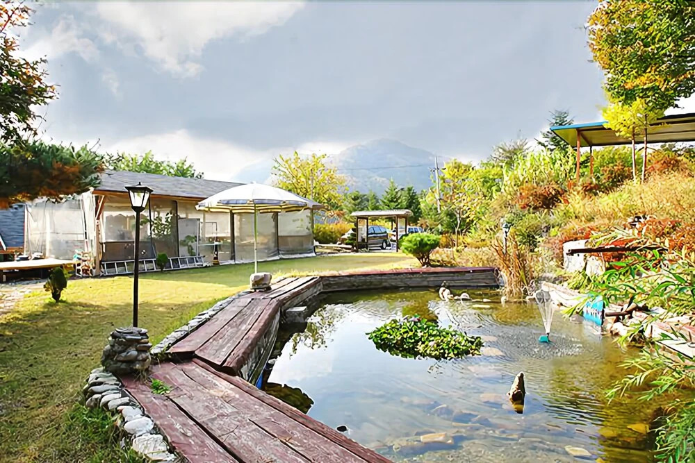 Hongcheon Babiana Pension
