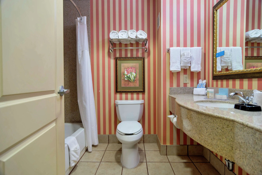 Hampton Inn & Suites Dallas-DFW ARPT W-SH 183 Hurst