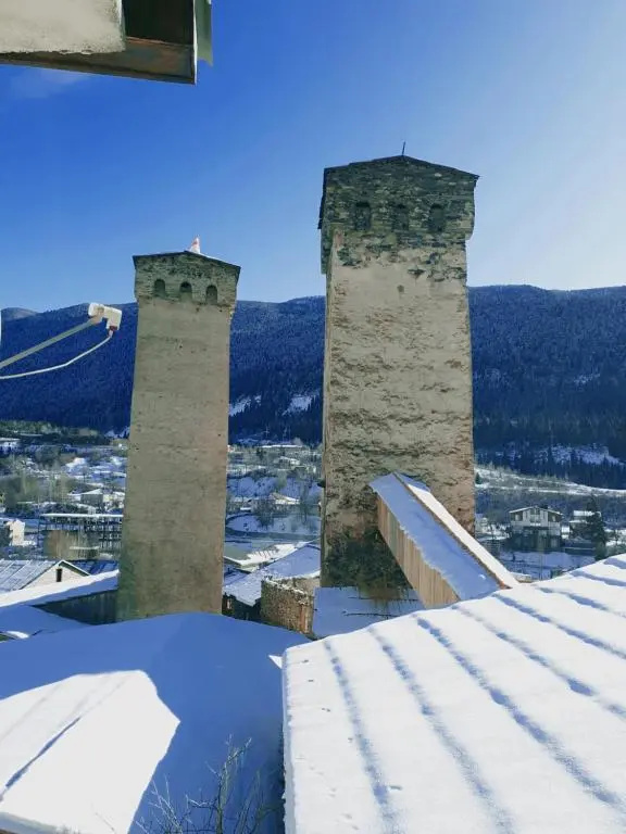 Old View