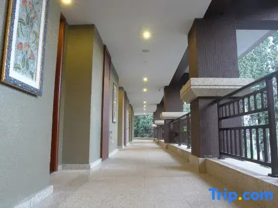 Tianyi Tea Homestay