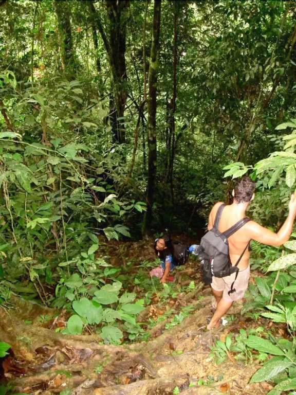Indra Valley Inn Bukit Lawang