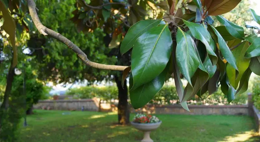 Agriturismo Villa Isa