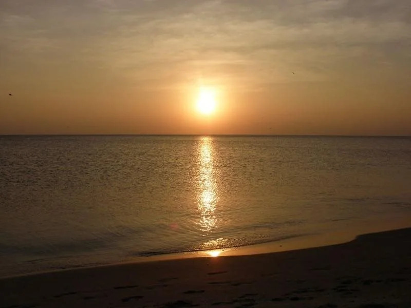 Shell Coast Resort