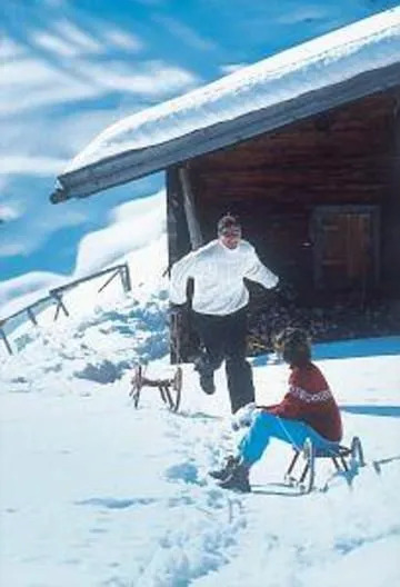 Zillertalerhof
