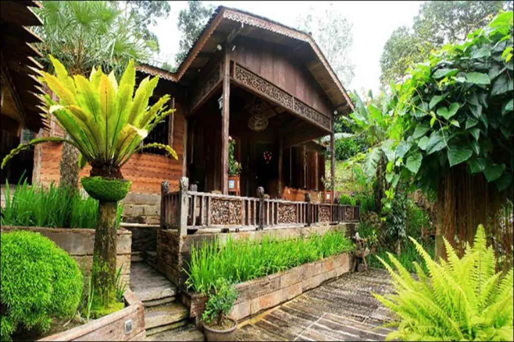 Fig Tree Hills Resort