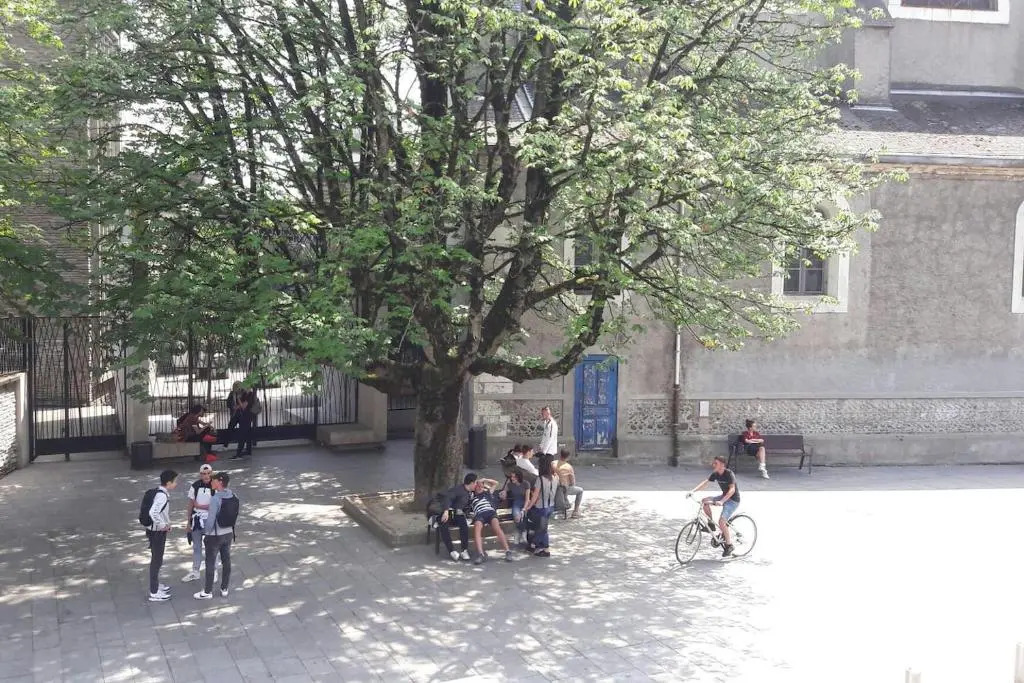 Un appartement lumineux au parc beaumont