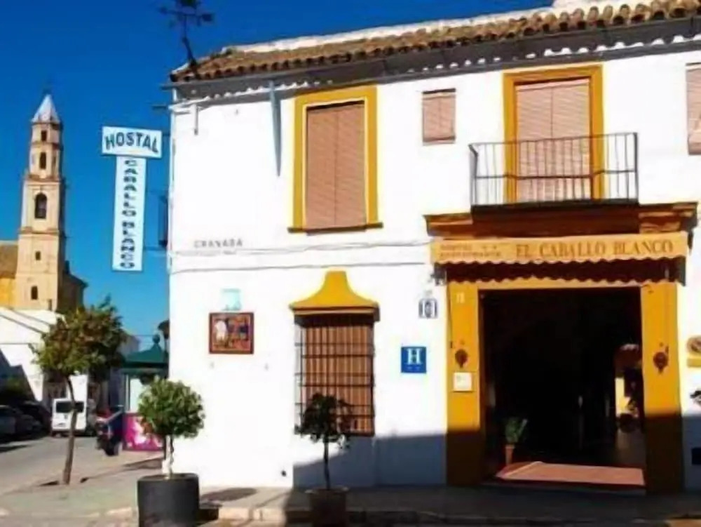 El Caballo Blanco