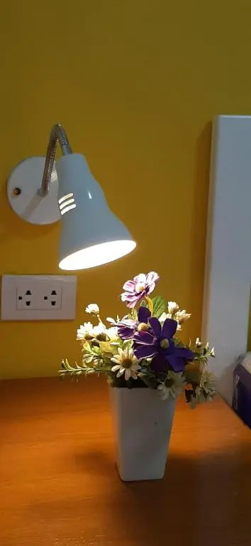 Sala Bua Room