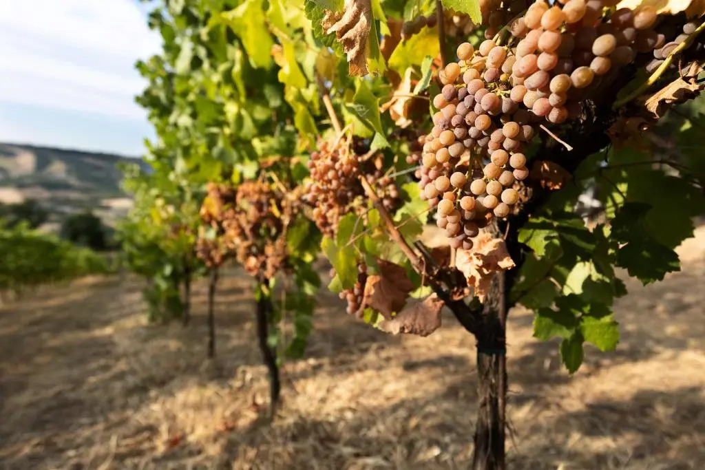 La Dolce Vallata