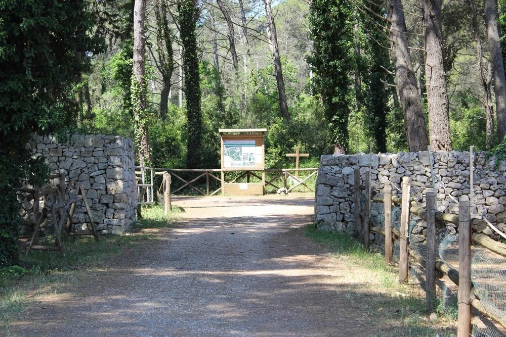 Casale Dei Pini - Nature Room