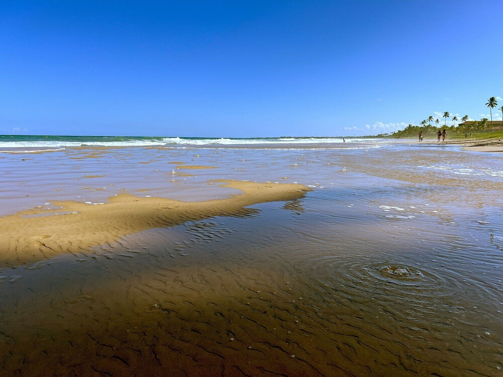 Cupe Garden #315 - Porto de Galinhas by Carpediem