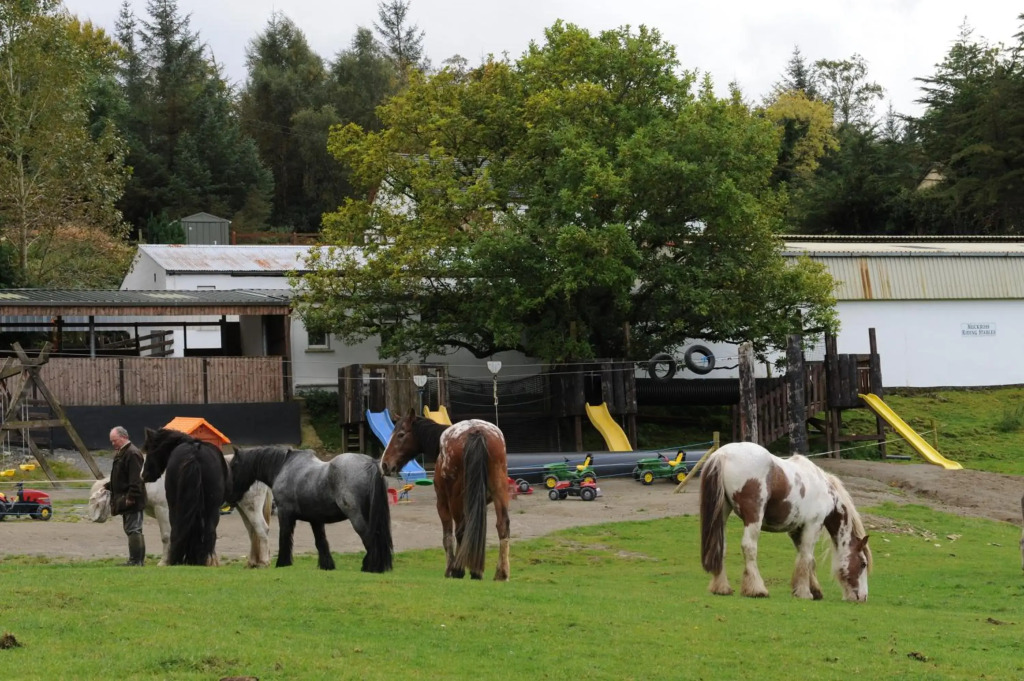 Muckross Riding Stables