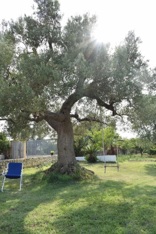 La casa degli artisti