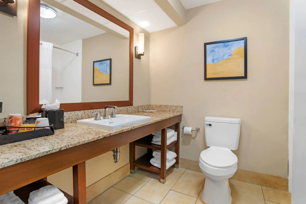 Comfort Suites Gastonia - Charlotte