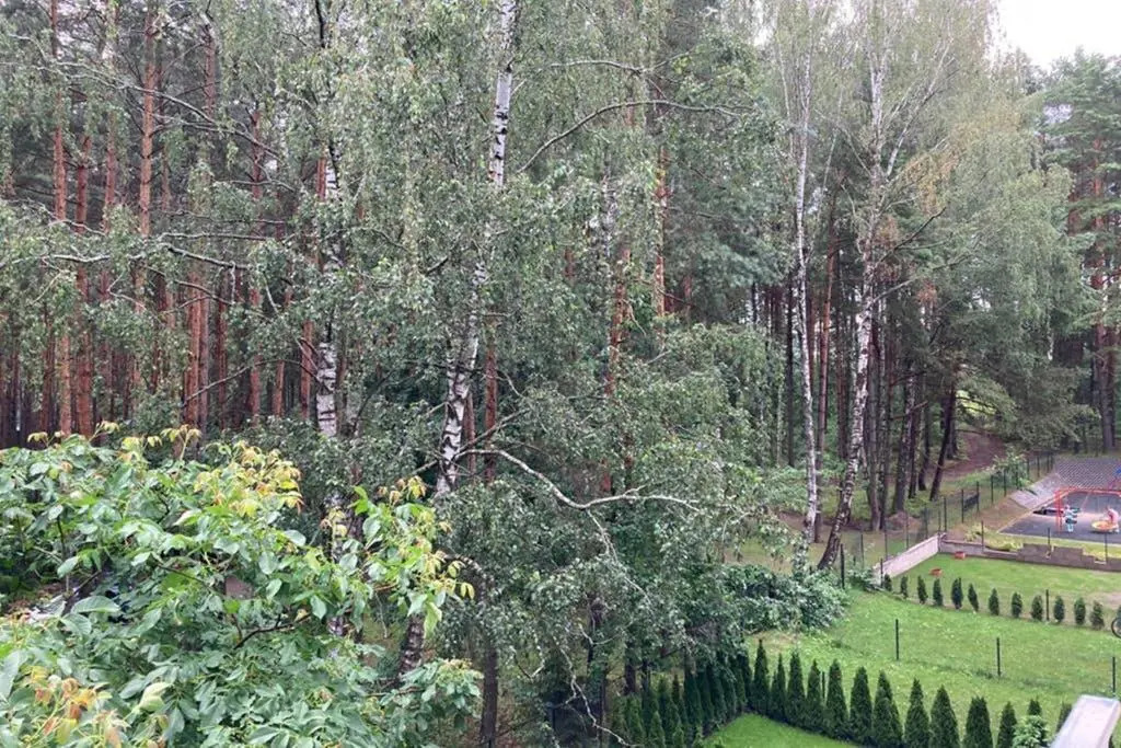 Lazdyneliu Apartamentai