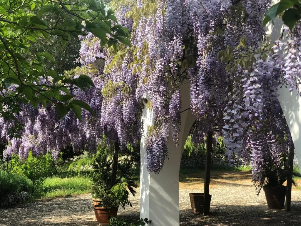 I Trulli della NaturaBio