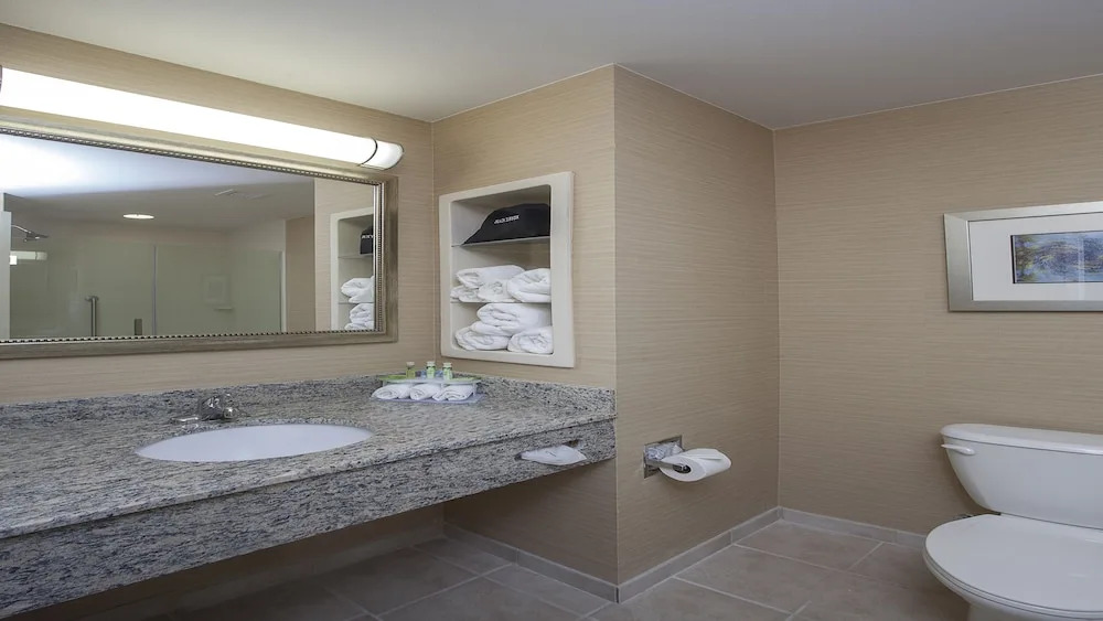Holiday Inn Express Hotel & Suites Morgan City- Tiger Island by IHG