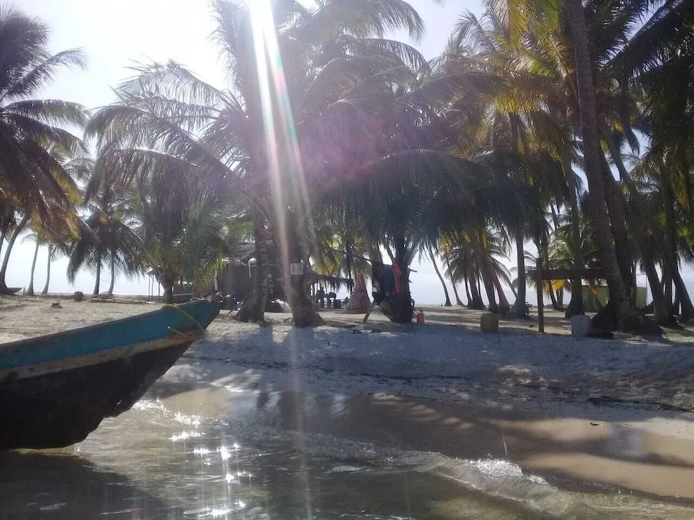 Tripsyala