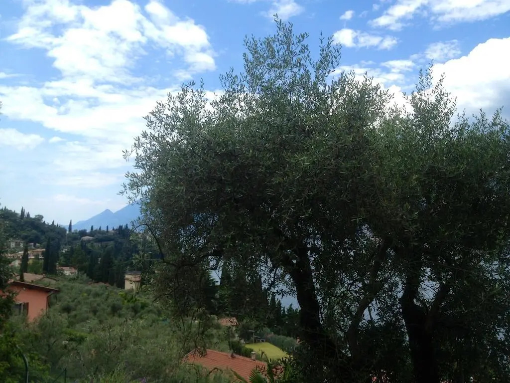 Villa Emma Malcesine