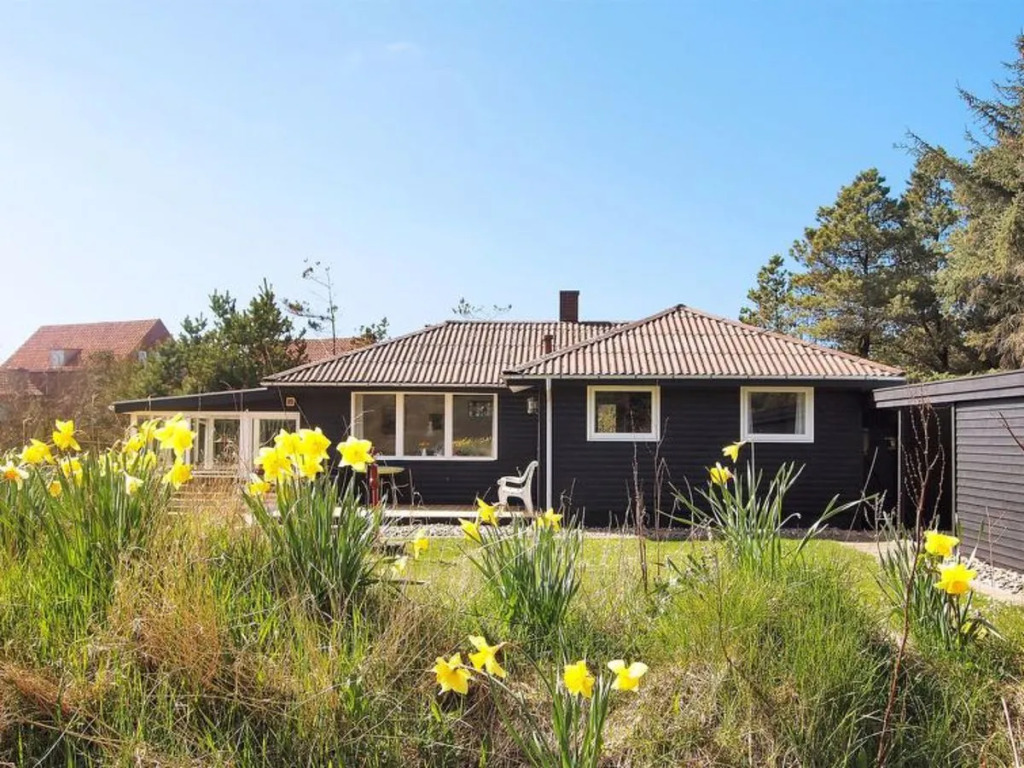 "Theis" - 500m from the sea in Western Jutland