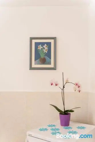 Apartment Dalmatian Garden