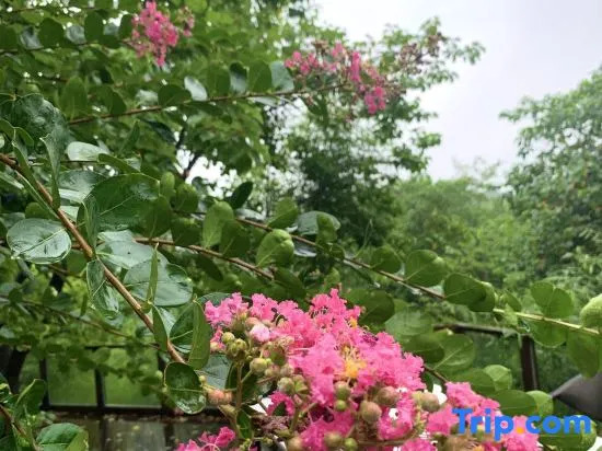 Floral Hotel · Luxury Designer Art Hotel (Nanjing Ginkgo Lake Shop)