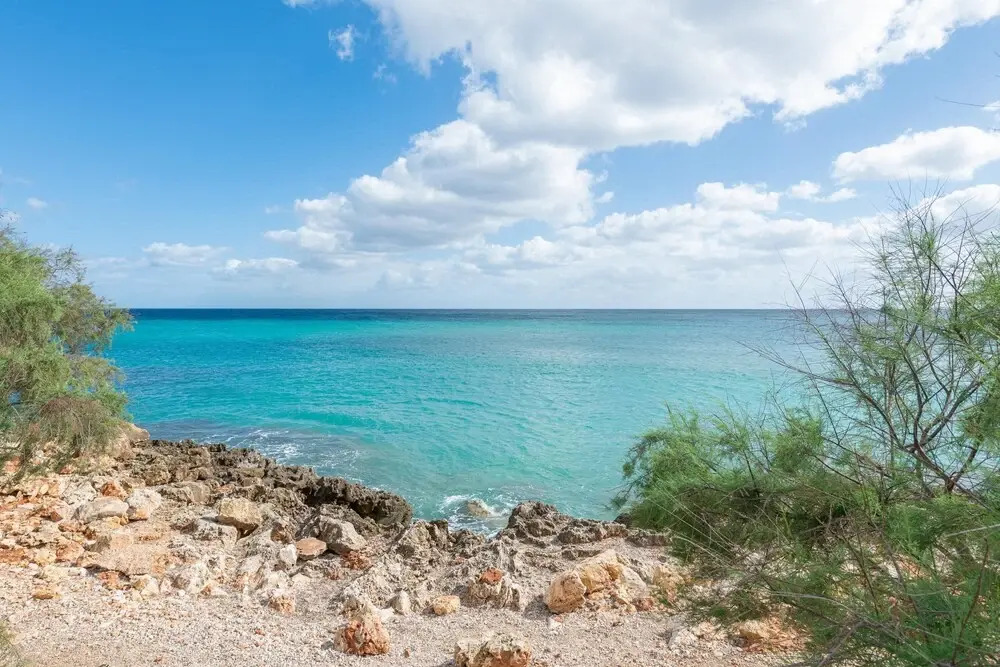 Antic 302 in Mallorca