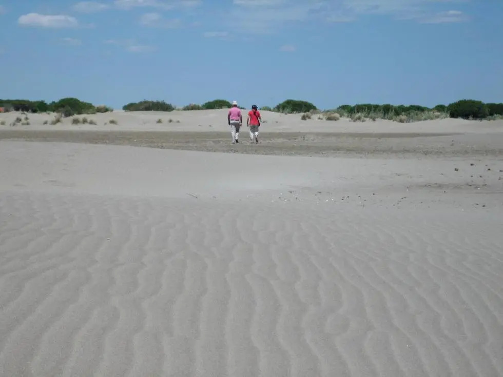 La Nanouche