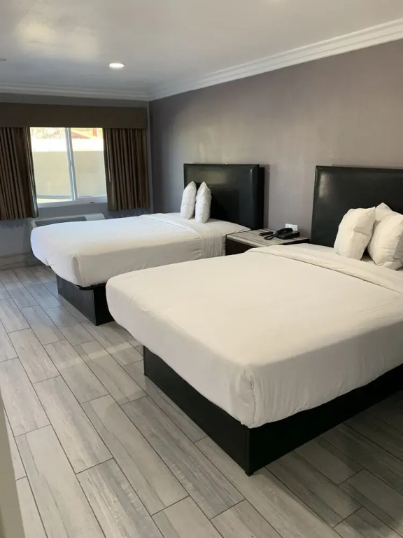 Willow Tree Inn & Suites