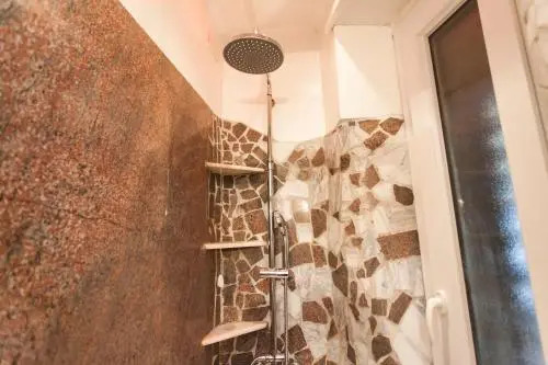 B&B Anturium